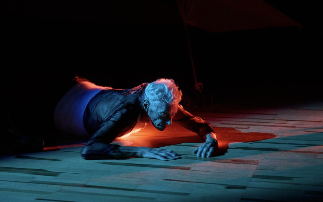 Netzwerk Münchner Theatertexter*innen: PANZER WIESE