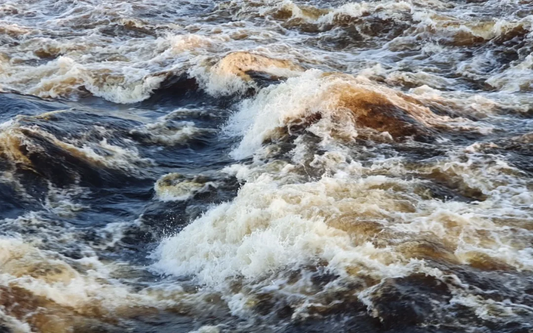 side.kicks+ | Isabella Oberländer: Bodies of Water